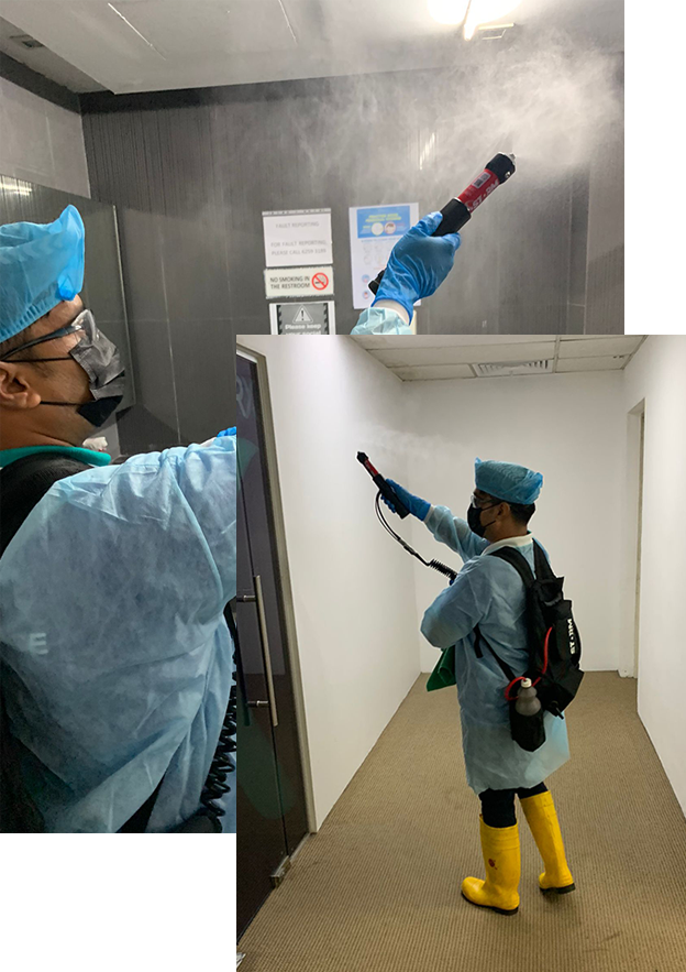 Steam Cleaning Service