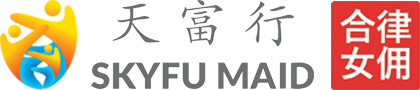 Skyfu Maid